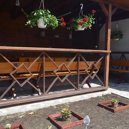 Pensiunea Savas Guest house