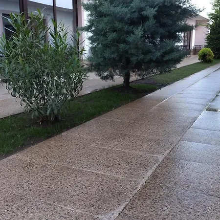 Pensiunea Savas Guest house