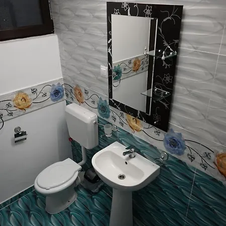 Pensionat Pensiunea Savas 3*