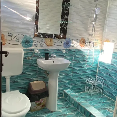 Pensionat Pensiunea Savas Costinesti